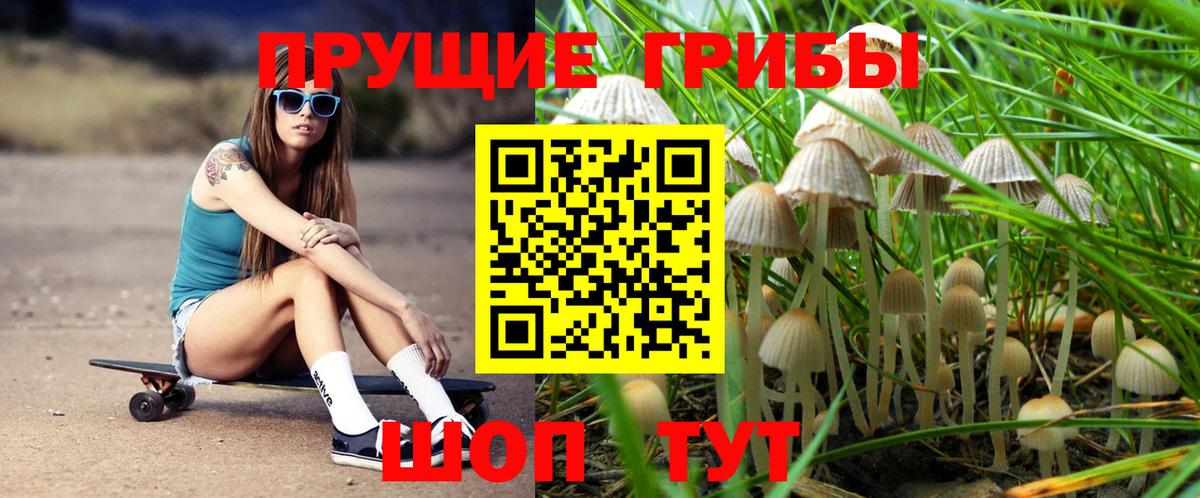 Псилоцибиновые грибы прущие грибы  Вход с VPN  Минеральные Воды 